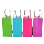 কাগজের ব্যাগ তৈরি (Paper Bags)