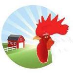 Poultry Farm & Accessories (পোল্ট্রি ফার্ম ও এক্সেসরিজ)