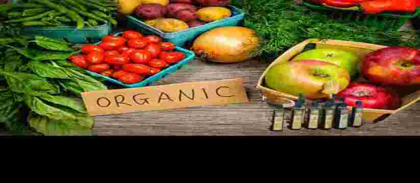 অর্গানিক পন্য (Organic Products)